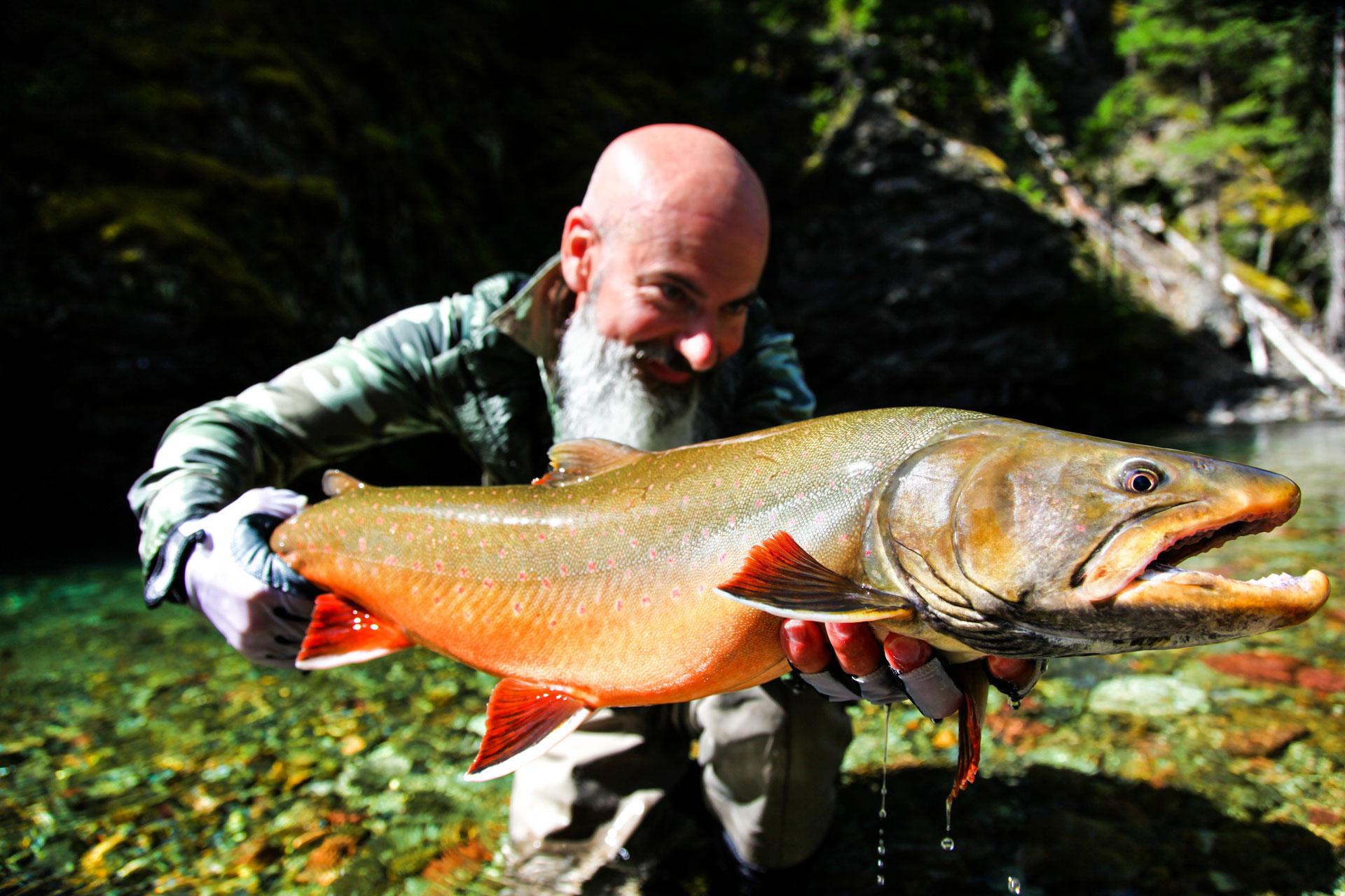 15-Michele-Poggi-BF-bull-010