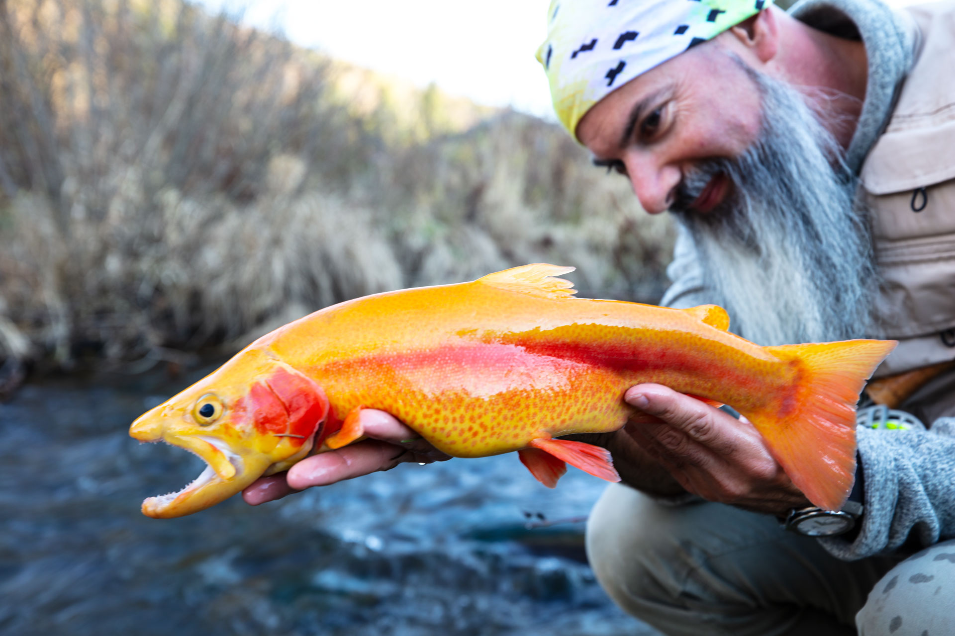 8-Michele-Poggi-Palomino-flyfishing-0G4A0269