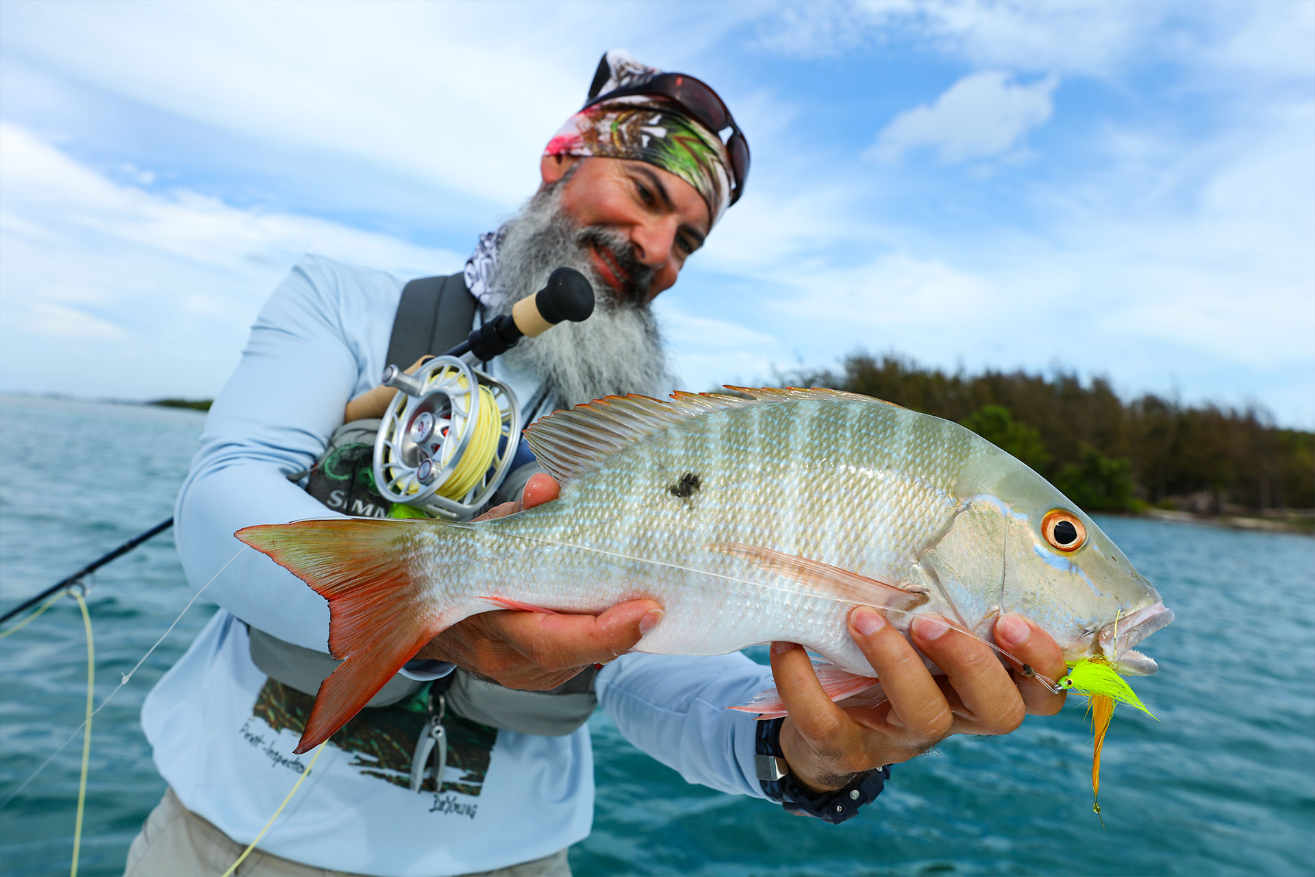 Yellow-Snapper-Michele-Poggi